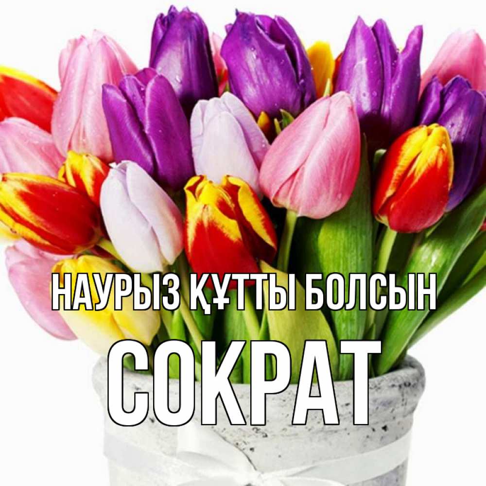 Открытка на каждый день с именем, Сократ Наурыз құтты болсын букет Прикольная открытка с пожеланием онлайн скачать бесплатно 