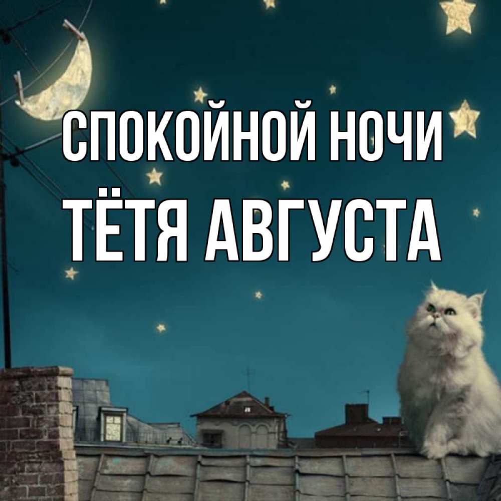 Открытка на каждый день с именем, Тётя-Августа Спокойной ночи белый кот сидит на крыше Прикольная открытка с пожеланием онлайн скачать бесплатно 