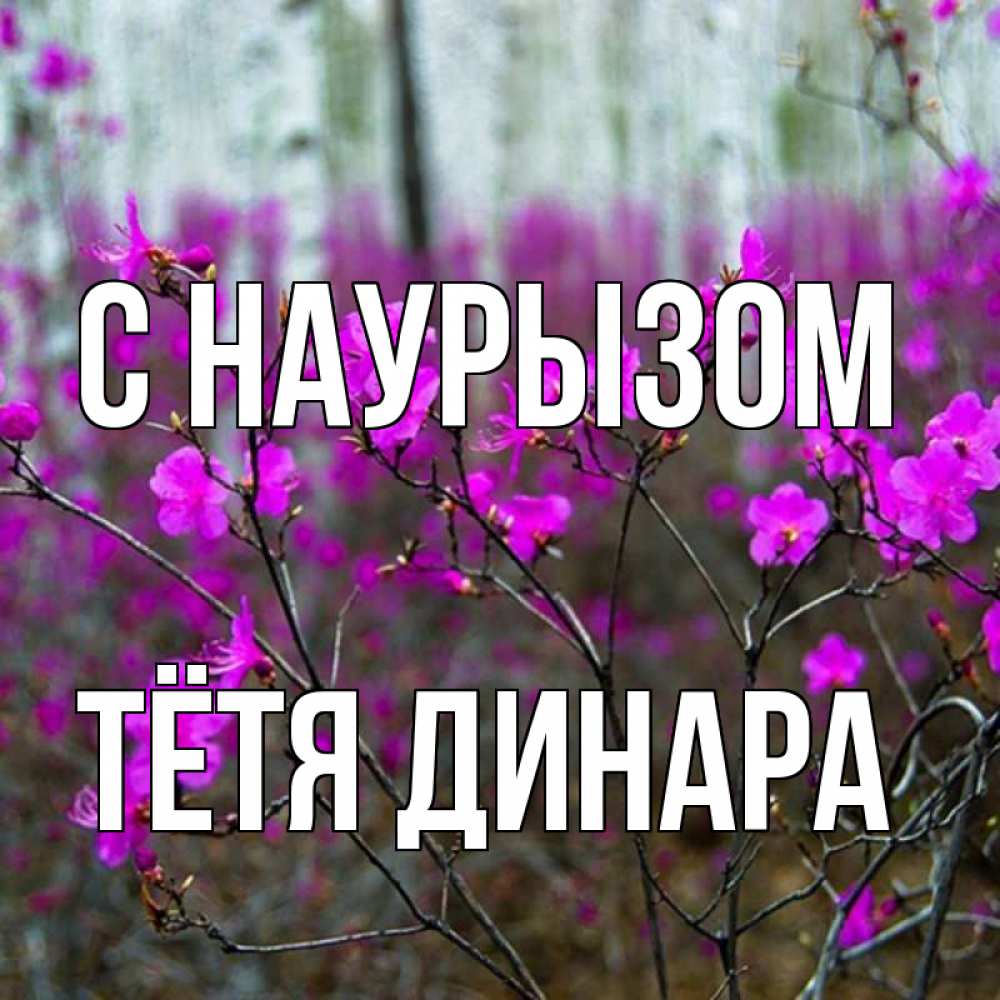 Открытка на каждый день с именем, Тётя-Динара С наурызом дикие цветы Прикольная открытка с пожеланием онлайн скачать бесплатно 