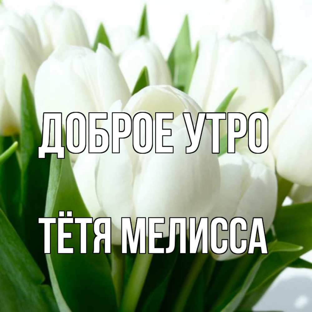 Открытка на каждый день с именем, Тётя-Мелисса Доброе утро открытки на каждый день по именам Прикольная открытка с пожеланием онлайн скачать бесплатно 