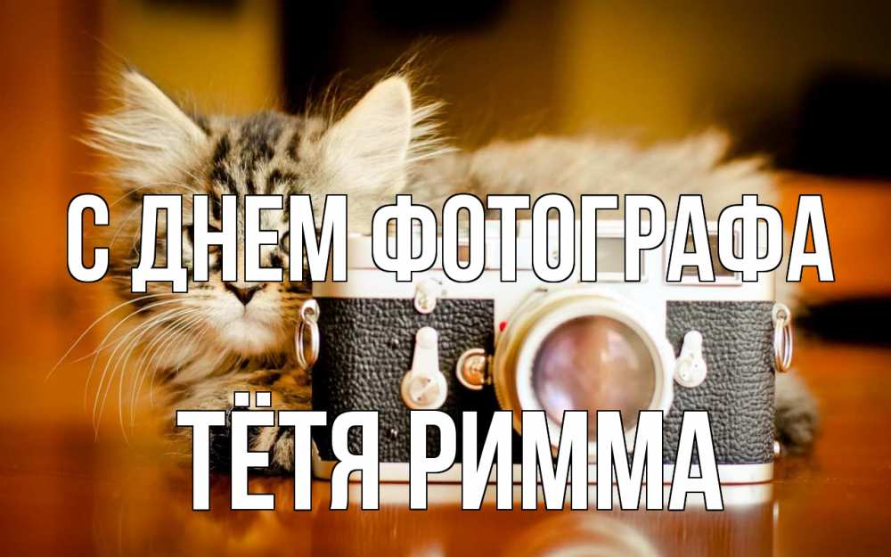 Открытка на каждый день с именем, Тётя-Римма С днем фотографа с днем фотографа Прикольная открытка с пожеланием онлайн скачать бесплатно 