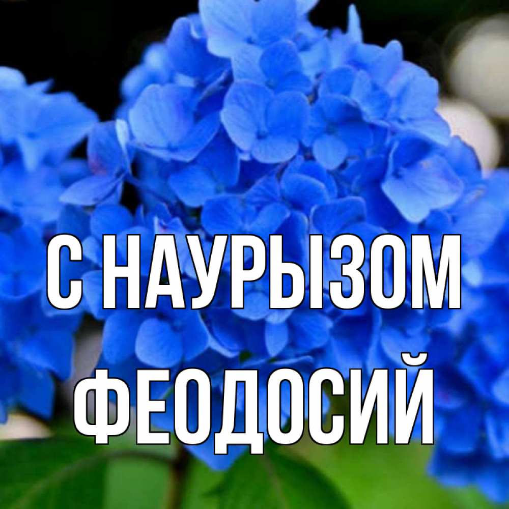 Открытка на каждый день с именем, Феодосий С наурызом синие цветы Прикольная открытка с пожеланием онлайн скачать бесплатно 