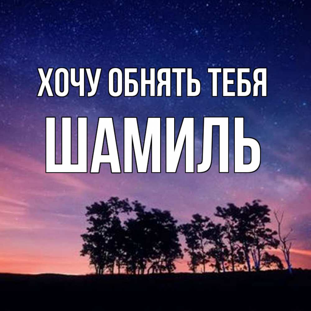 Открытка на каждый день с именем, Шамиль Хочу обнять тебя силуэты деревьев Прикольная открытка с пожеланием онлайн скачать бесплатно 