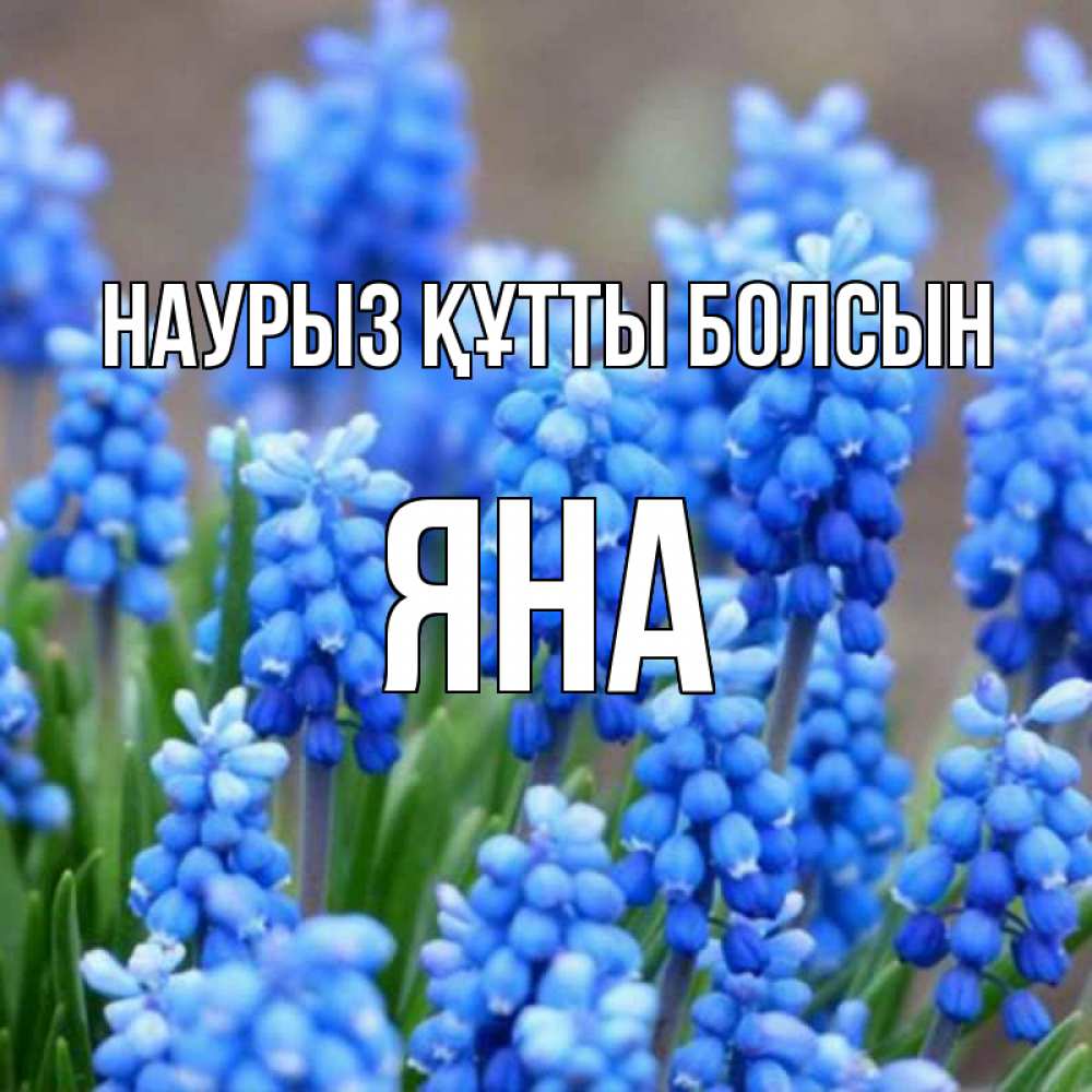 Открытка на каждый день с именем, Яна Наурыз құтты болсын Поздравительная открытка для женщин с цветами на праздничную дату Прикольная открытка с пожеланием онлайн скачать бесплатно 