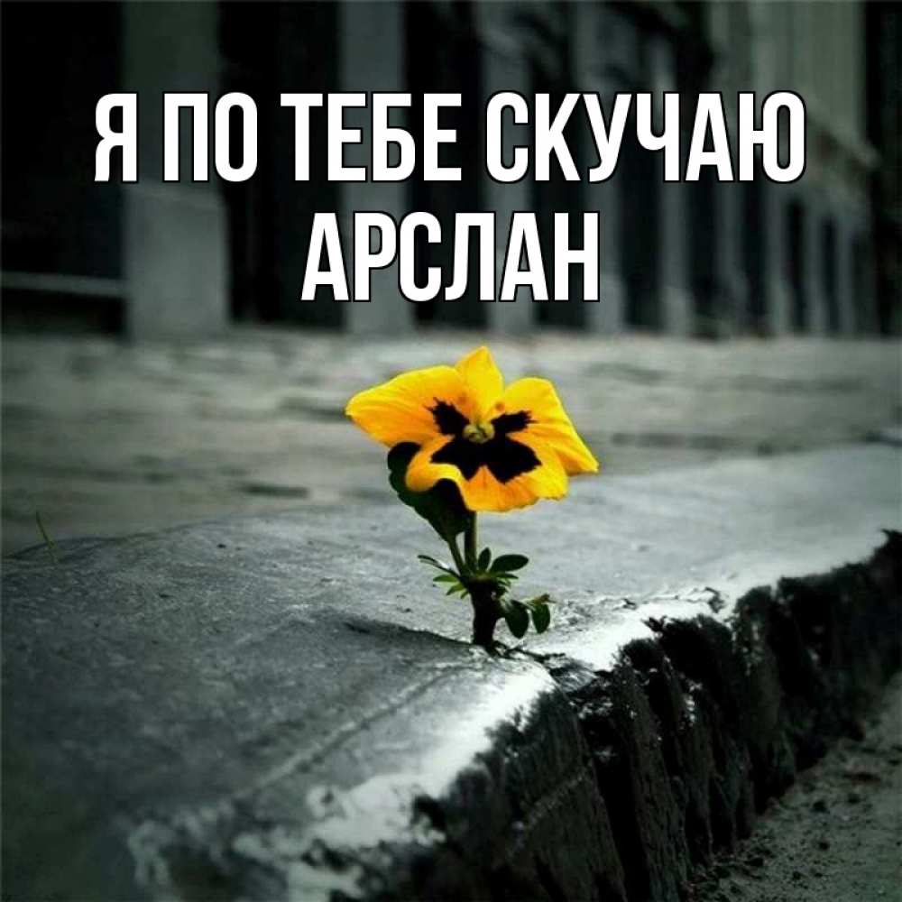 Открытка на каждый день с именем, Арслан Я по тебе скучаю надеюсь будет лучше Прикольная открытка с пожеланием онлайн скачать бесплатно 