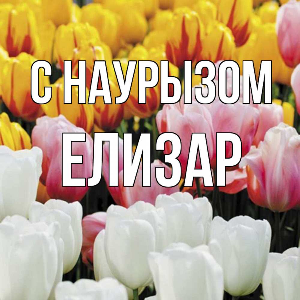 Открытка на каждый день с именем, Елизар С наурызом разноцветные цветы Прикольная открытка с пожеланием онлайн скачать бесплатно 