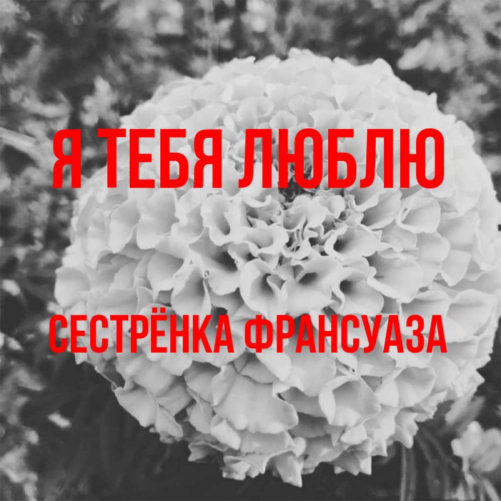 Открытка на каждый день с именем, Сестрёнка-Франсуаза Я тебя люблю подпись Прикольная открытка с пожеланием онлайн скачать бесплатно 