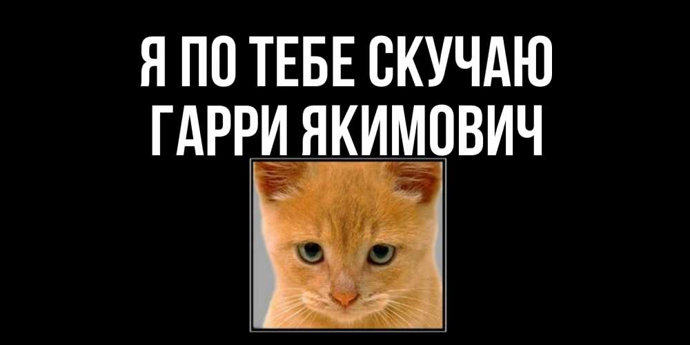 Картинка Я по тебе скучаю, Гарри Якимович