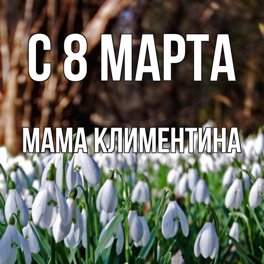 Открытка на каждый день с именем, Мама-Климентина С 8 МАРТА с подснежниками 1 Прикольная открытка с пожеланием онлайн скачать бесплатно 