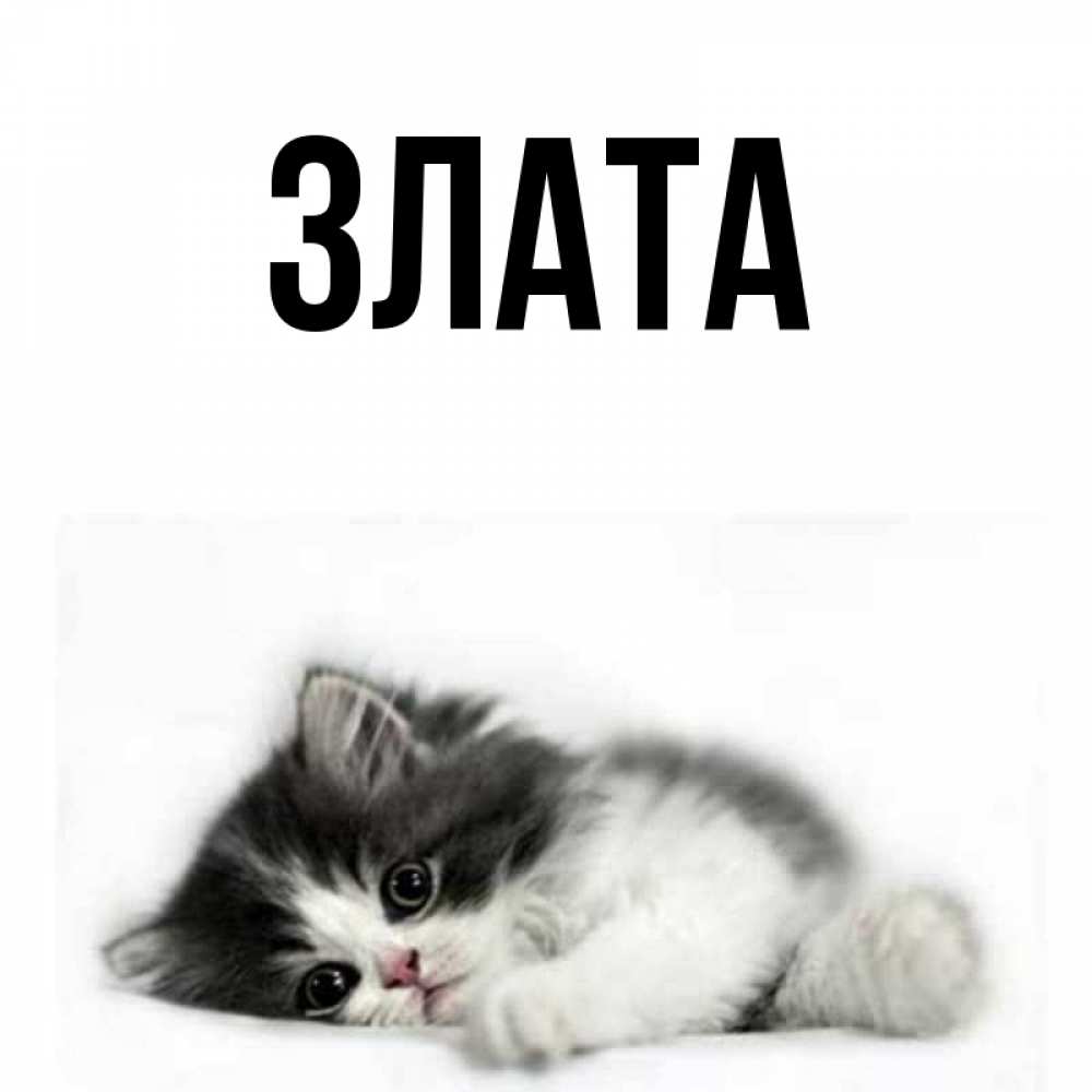 Злата картинки с надписями