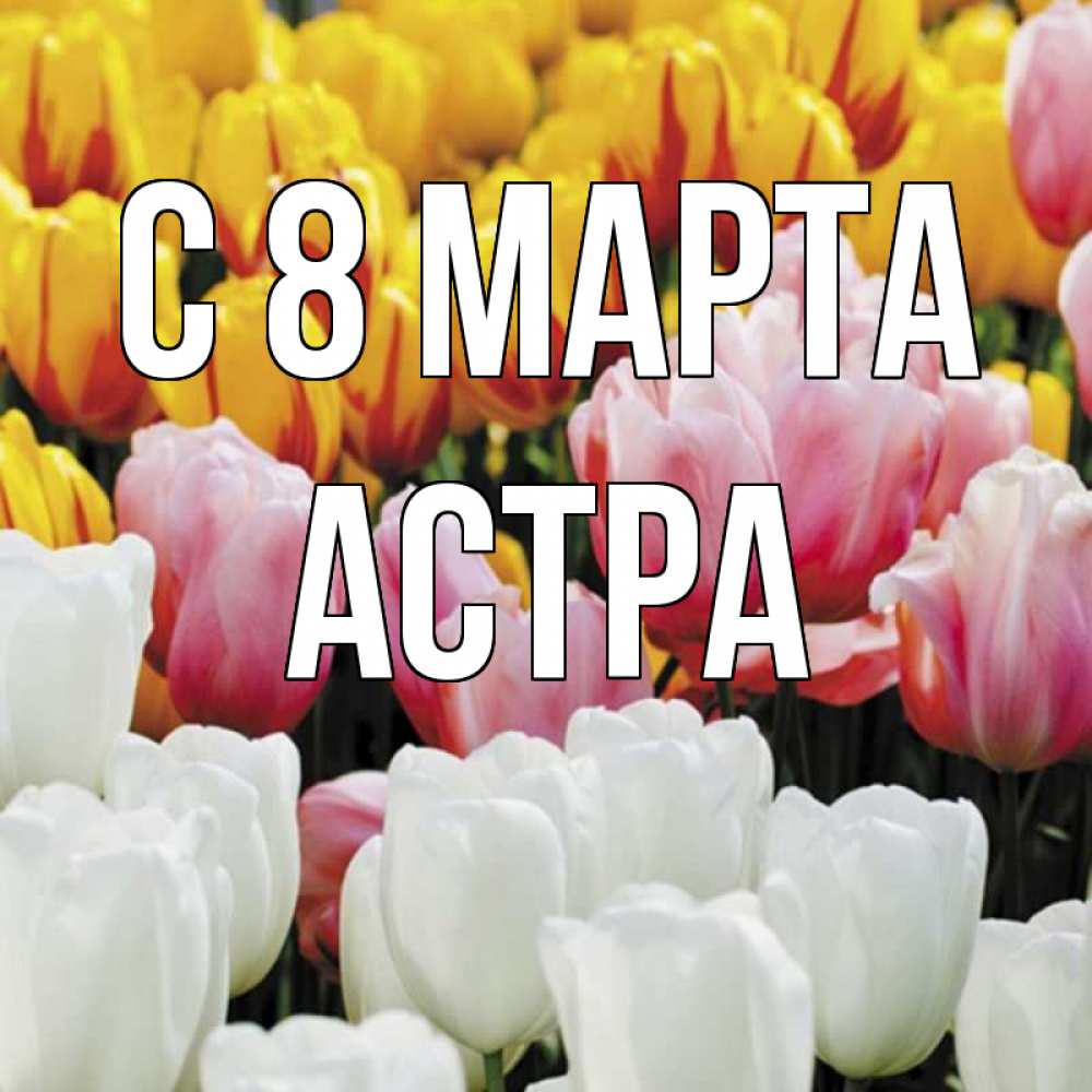 Открытка на каждый день с именем, Астра С 8 МАРТА разноцветные цветы Прикольная открытка с пожеланием онлайн скачать бесплатно 