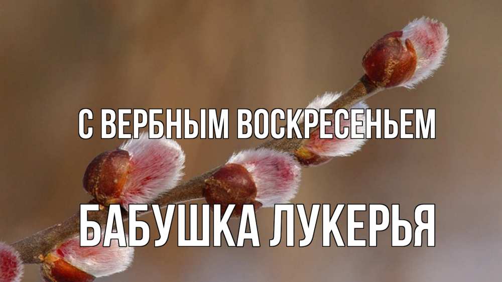 Открытка на каждый день с именем, Бабушка-Лукерья С вербным воскресеньем верба Прикольная открытка с пожеланием онлайн скачать бесплатно 