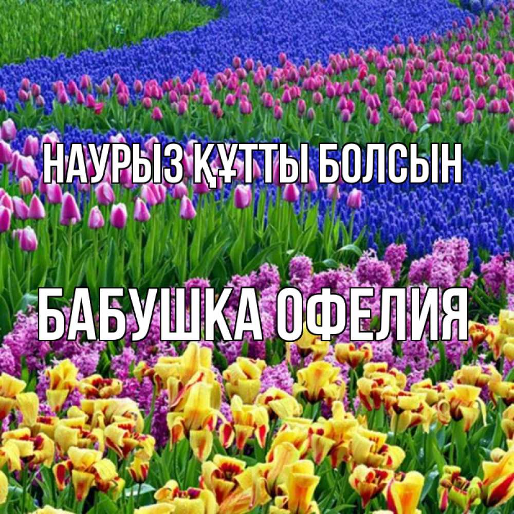 Открытка на каждый день с именем, Бабушка-Офелия Наурыз құтты болсын цветы Прикольная открытка с пожеланием онлайн скачать бесплатно 