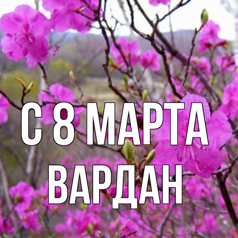 Открытка на каждый день с именем, Вардан С 8 МАРТА международный женский день Прикольная открытка с пожеланием онлайн скачать бесплатно 