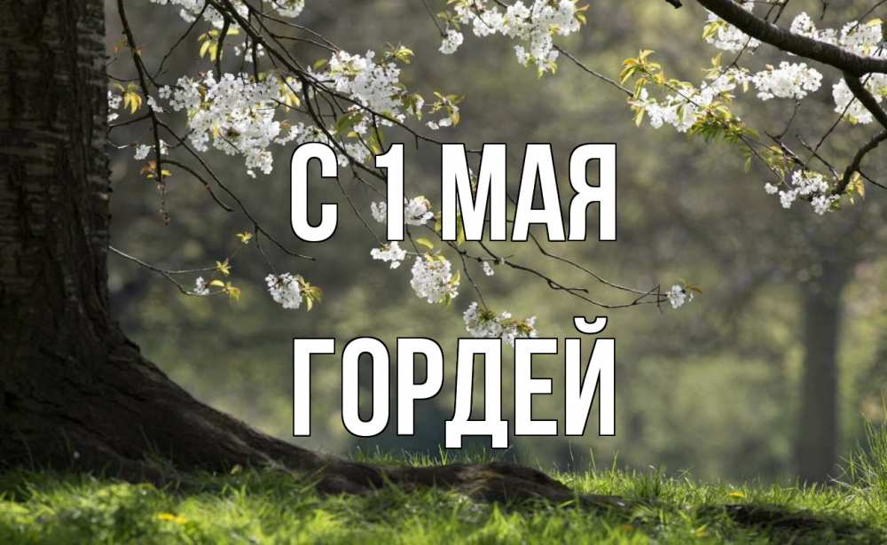 Открытка на каждый день с именем, Гордей С 1 мая С 1 мая Прикольная открытка с пожеланием онлайн скачать бесплатно 