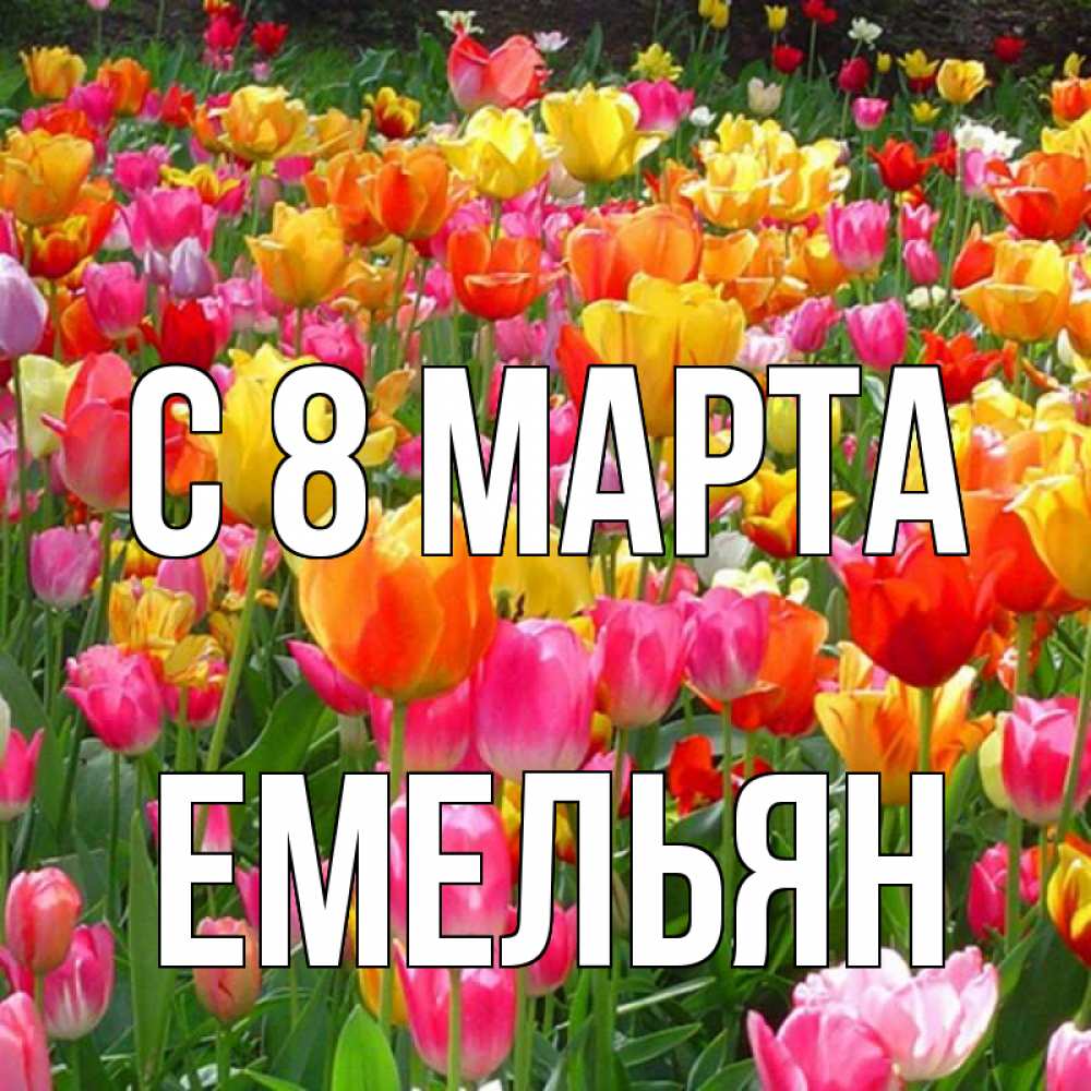 Открытка на каждый день с именем, Емельян С 8 МАРТА на международный женский день Прикольная открытка с пожеланием онлайн скачать бесплатно 