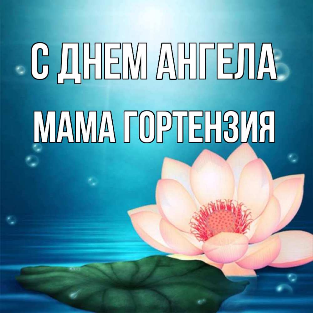 Открытка на каждый день с именем, Мама-Гортензия С днем ангела кувшинка Прикольная открытка с пожеланием онлайн скачать бесплатно 