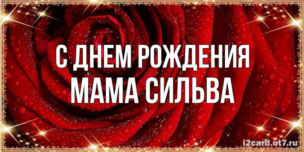 Открытка на каждый день с именем, Мама-Сильва С днем рождения роса на розе блестящая в лучах солнца Прикольная открытка с пожеланием онлайн скачать бесплатно 
