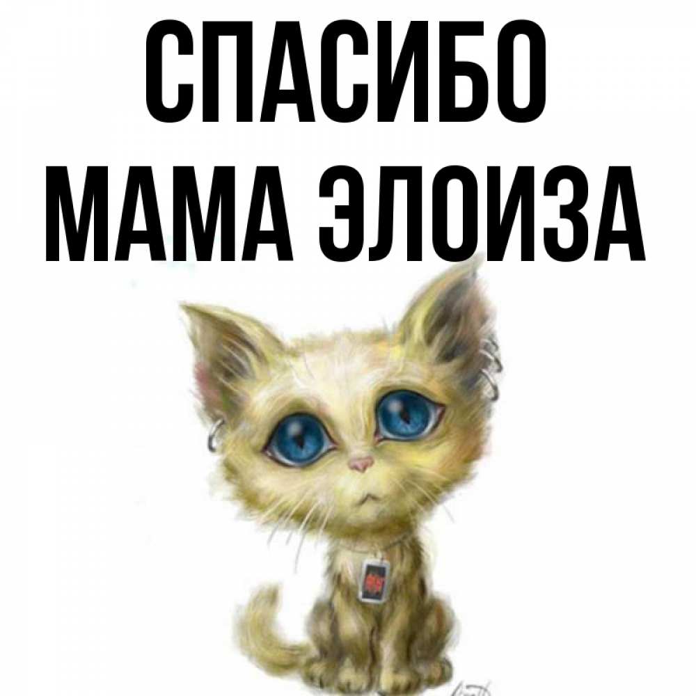 Открытка на каждый день с именем, Мама-Элоиза Спасибо рисованный кот благодарит вас Прикольная открытка с пожеланием онлайн скачать бесплатно 