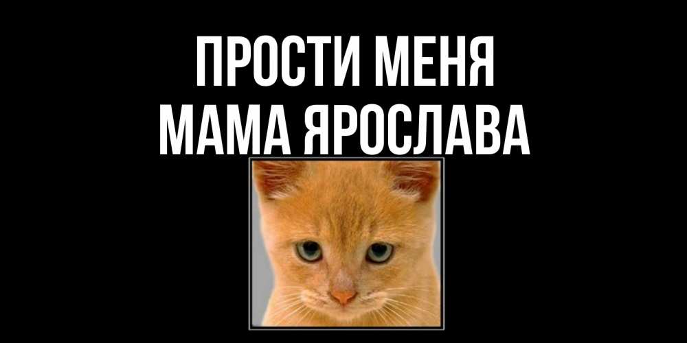 Открытка на каждый день с именем, Мама-Ярослава Прости меня рыжий грустный кот просит прощения Прикольная открытка с пожеланием онлайн скачать бесплатно 