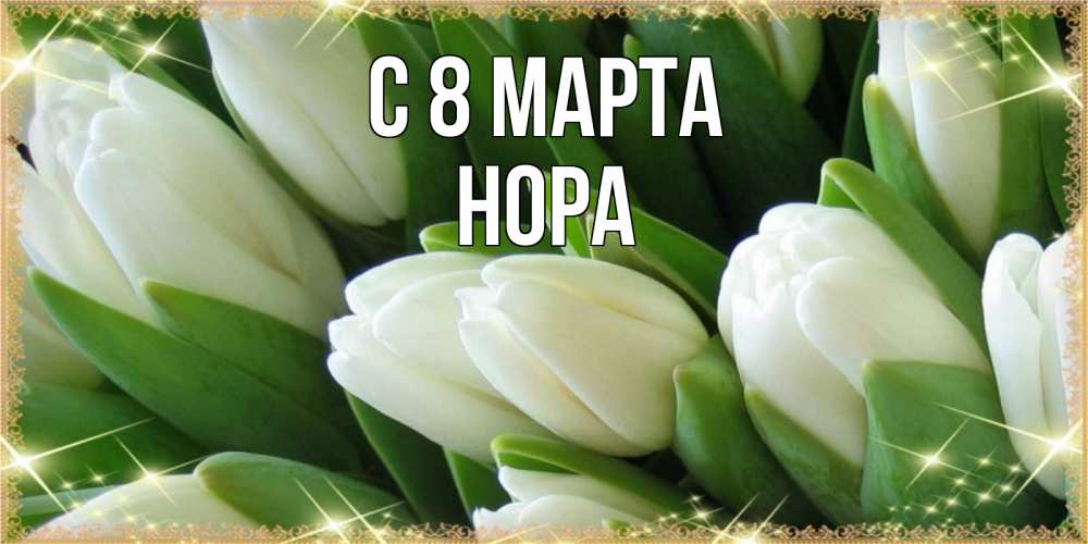 Открытка на каждый день с именем, Нора С 8 МАРТА поздравляем с 8 марта Прикольная открытка с пожеланием онлайн скачать бесплатно 