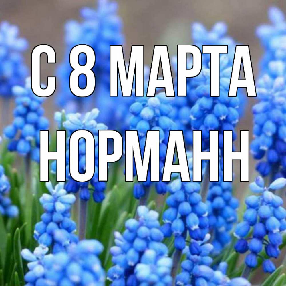 Открытка на каждый день с именем, Норманн С 8 МАРТА Поздравительная открытка для женщин с цветами на праздничную дату Прикольная открытка с пожеланием онлайн скачать бесплатно 