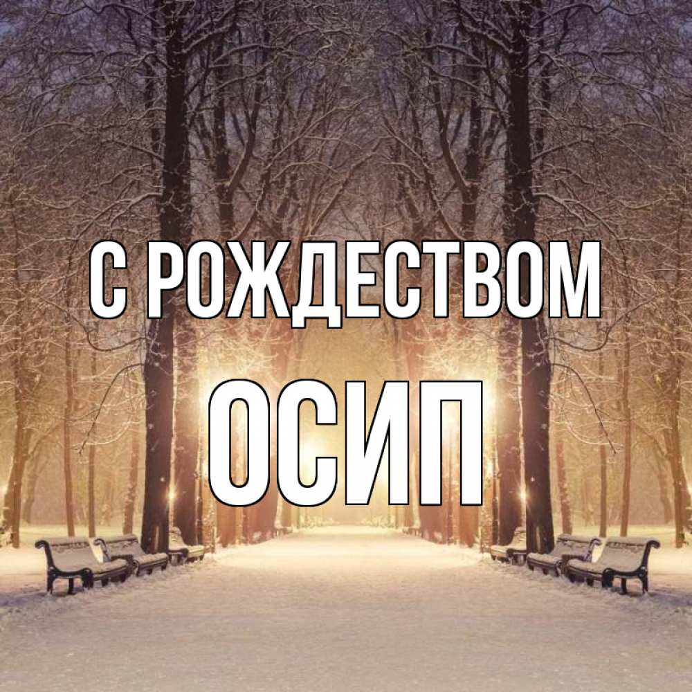 Открытка на каждый день с именем, Осип С рождеством зима, парк, фонарь, лес Прикольная открытка с пожеланием онлайн скачать бесплатно 