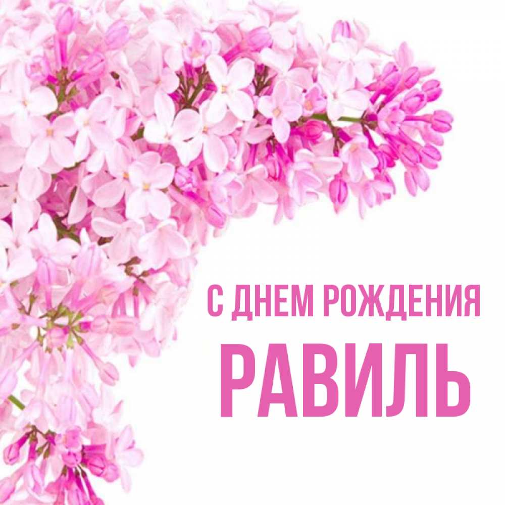 Открытка на каждый день с именем, РАВИЛЬ С днем рождения Сирень на белом фоне Прикольная открытка с пожеланием онлайн скачать бесплатно 