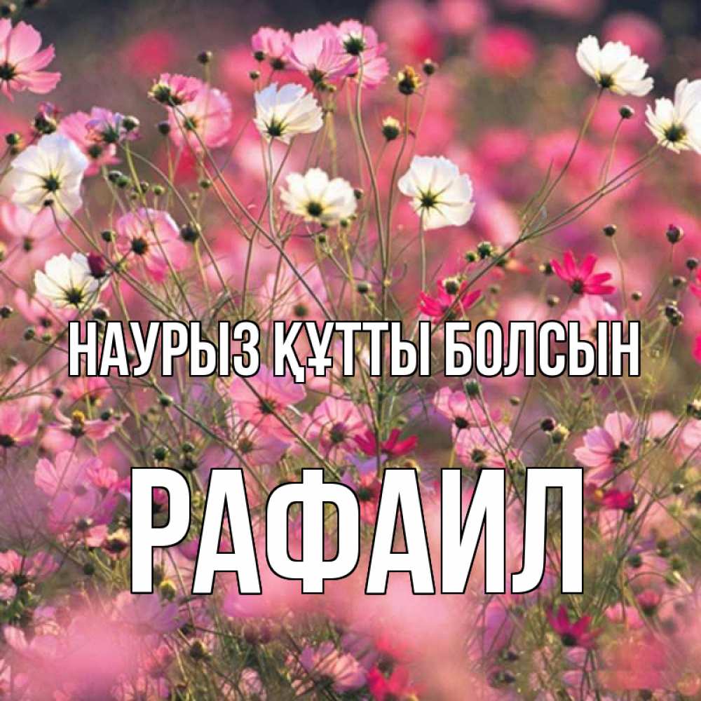 Открытка на каждый день с именем, Рафаил Наурыз құтты болсын красиво 1 Прикольная открытка с пожеланием онлайн скачать бесплатно 