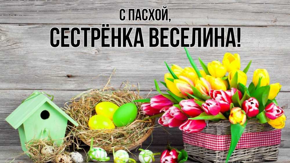 Открытка на каждый день с именем, Сестрёнка-Веселина С пасхой пасха Прикольная открытка с пожеланием онлайн скачать бесплатно 
