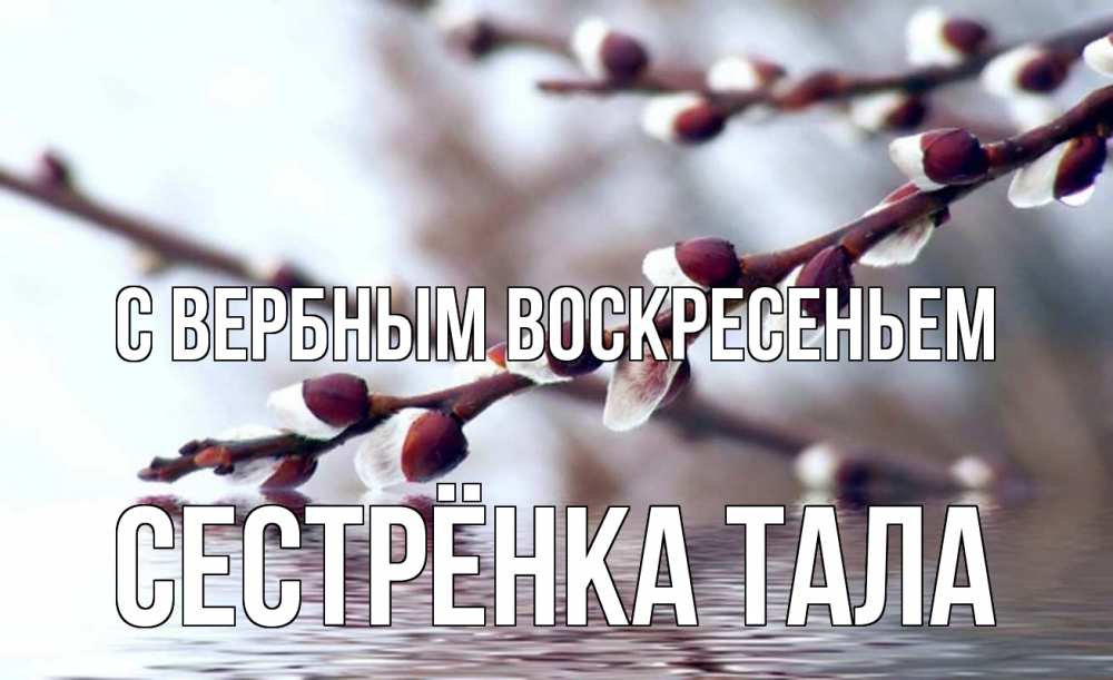 Открытка на каждый день с именем, Сестрёнка-Тала С вербным воскресеньем верба, ручей Прикольная открытка с пожеланием онлайн скачать бесплатно 