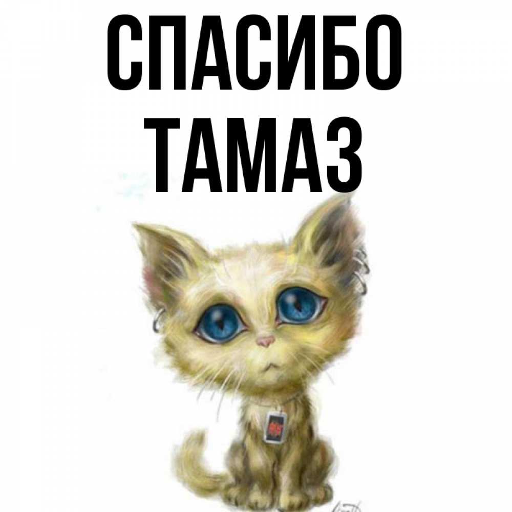 Открытка на каждый день с именем, Тамаз Спасибо рисованный кот благодарит вас Прикольная открытка с пожеланием онлайн скачать бесплатно 