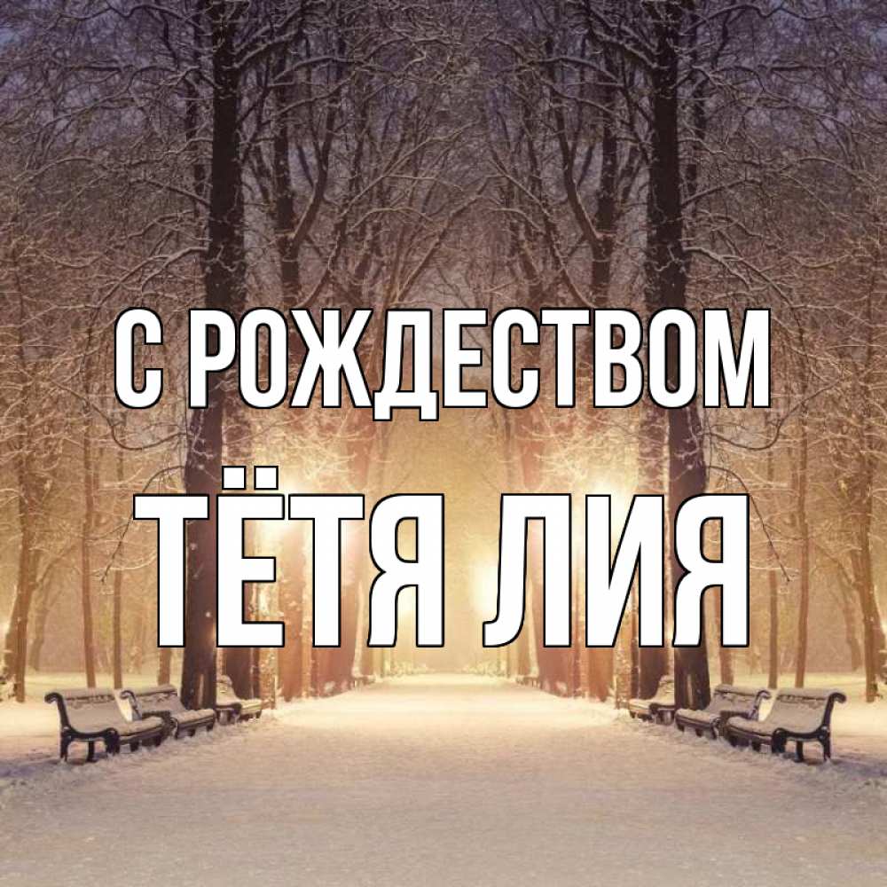 Открытка на каждый день с именем, Тётя-Лия С рождеством зима, парк, фонарь, лес Прикольная открытка с пожеланием онлайн скачать бесплатно 