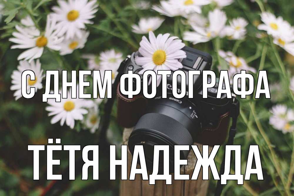 Открытка на каждый день с именем, Тётя-Надежда С днем фотографа с днем фотографа Прикольная открытка с пожеланием онлайн скачать бесплатно 