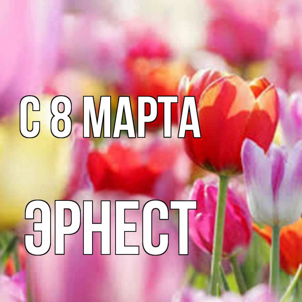 Открытка на каждый день с именем, Эрнест С 8 МАРТА на международный женский день 2 Прикольная открытка с пожеланием онлайн скачать бесплатно 