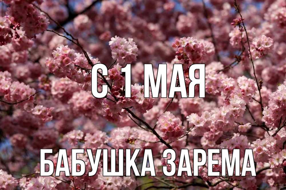 Открытка на каждый день с именем, Бабушка-Зарема С 1 мая С 1 мая Прикольная открытка с пожеланием онлайн скачать бесплатно 