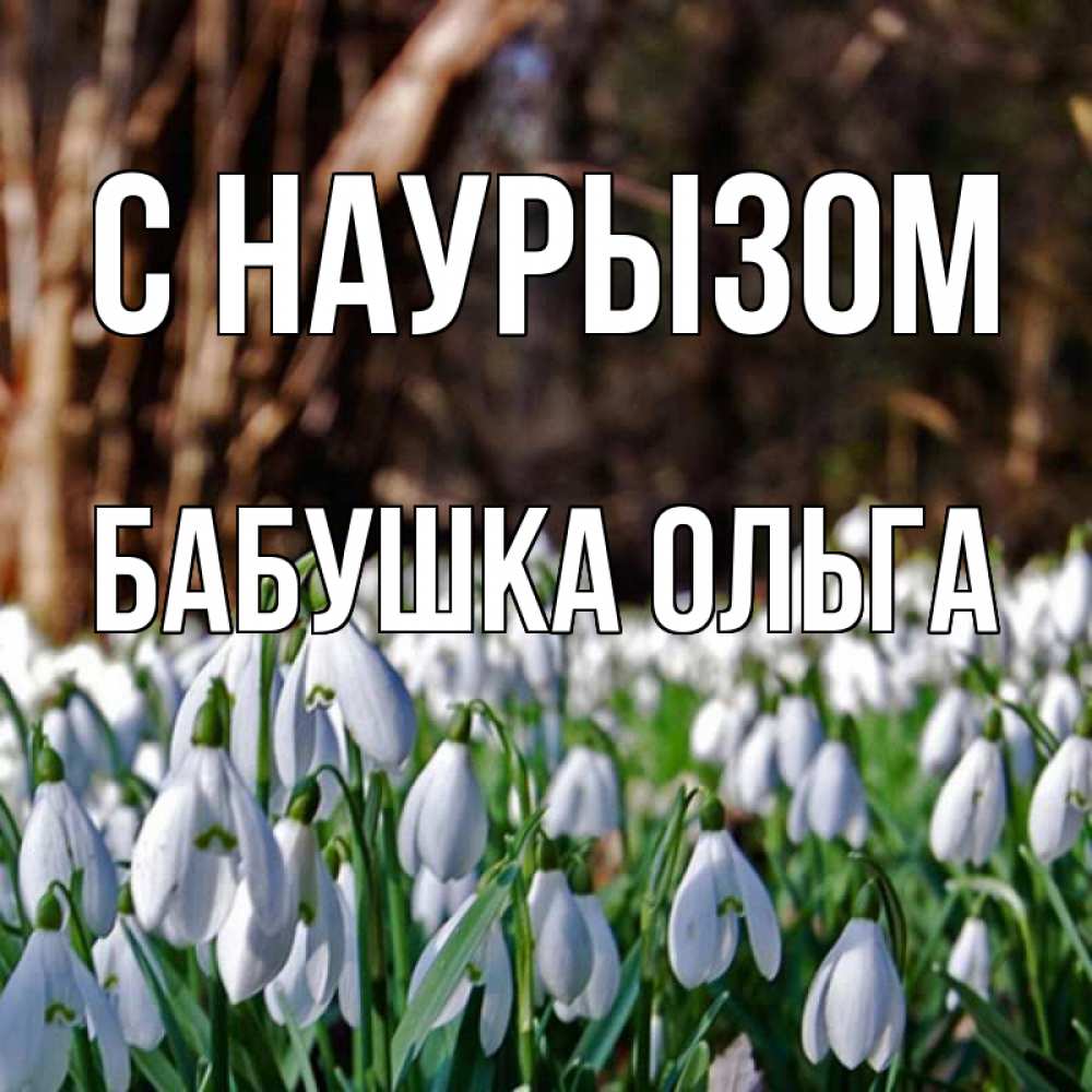 Открытка на каждый день с именем, Бабушка-Ольга С наурызом с подснежниками 1 Прикольная открытка с пожеланием онлайн скачать бесплатно 