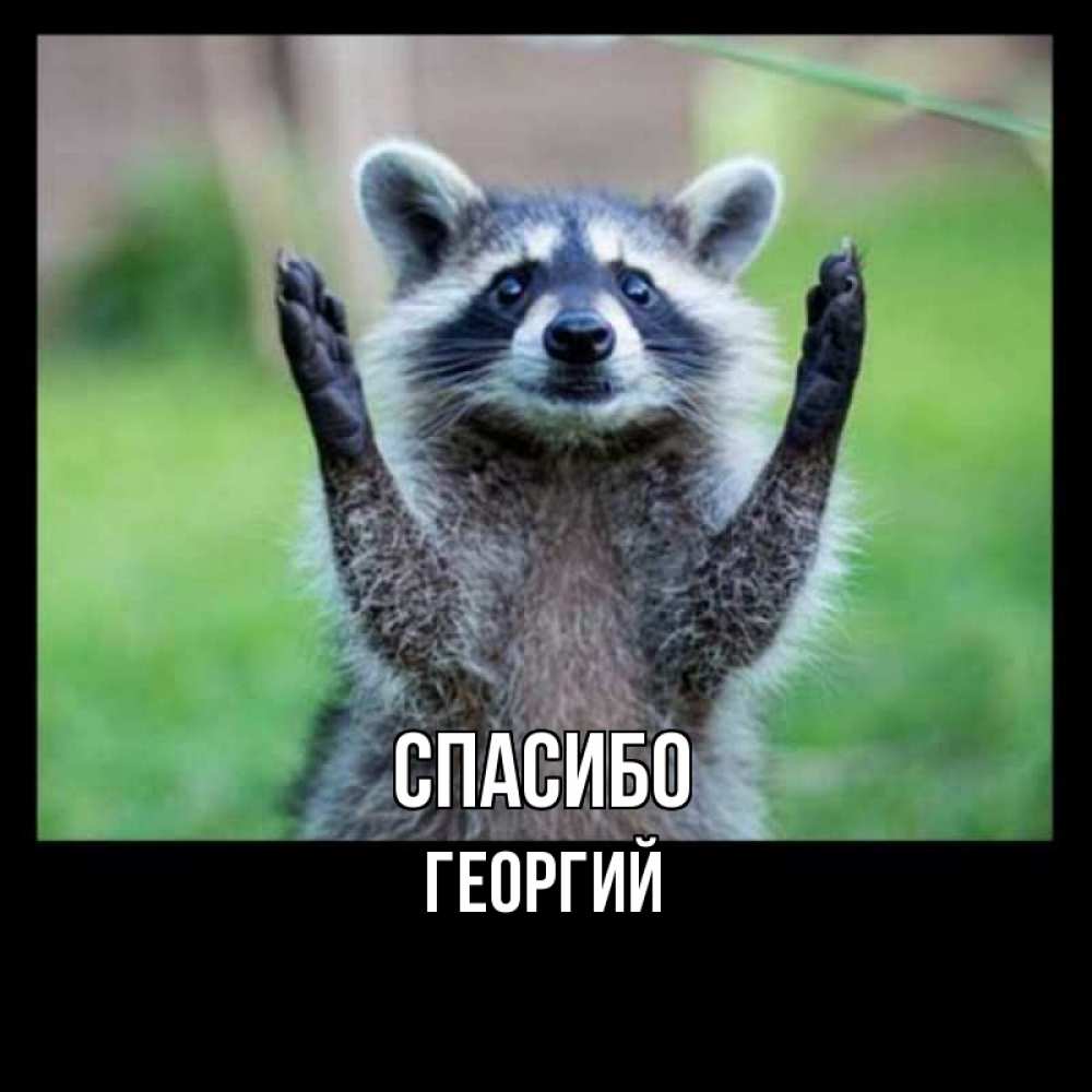 Открытка на каждый день с именем, Георгий Спасибо милые животные Прикольная открытка с пожеланием онлайн скачать бесплатно 