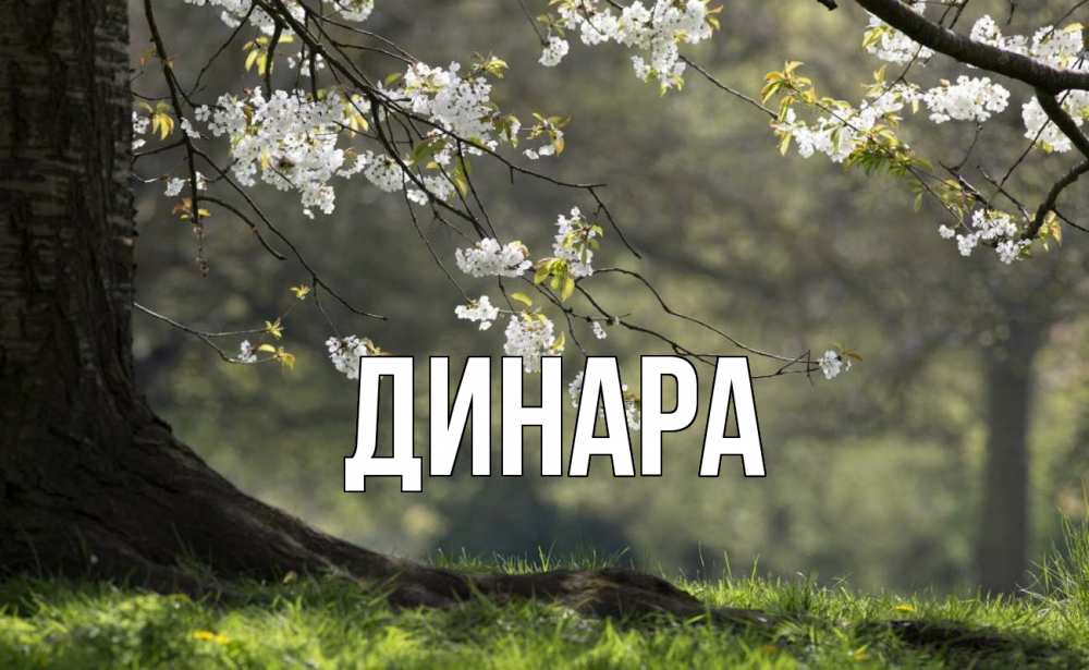Открытка на каждый день с именем, Динара Главная С 1 мая Прикольная открытка с пожеланием онлайн скачать бесплатно 