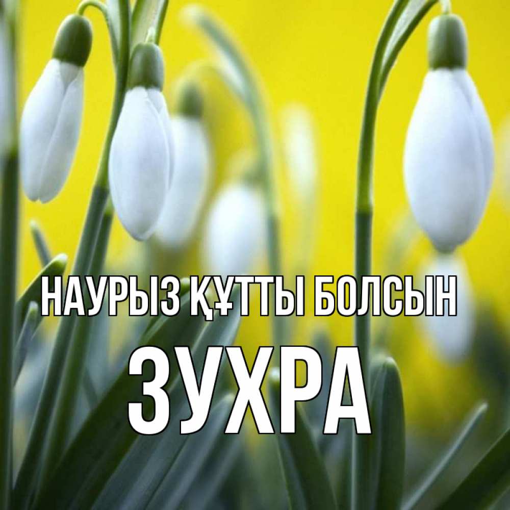 Открытка на каждый день с именем, Зухра Наурыз құтты болсын весенние цветы Прикольная открытка с пожеланием онлайн скачать бесплатно 