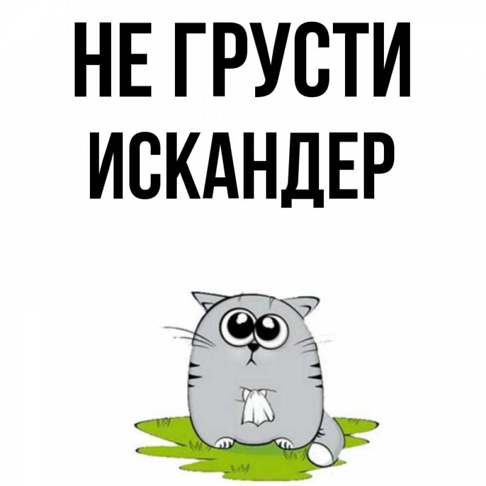 Открытка на каждый день с именем, Искандер Не грусти грустный котяра Прикольная открытка с пожеланием онлайн скачать бесплатно 