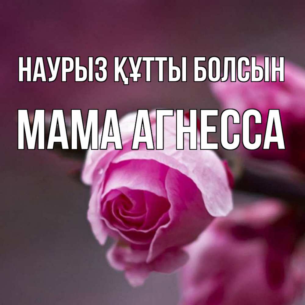 Открытка на каждый день с именем, Мама-Агнесса Наурыз құтты болсын весна Прикольная открытка с пожеланием онлайн скачать бесплатно 