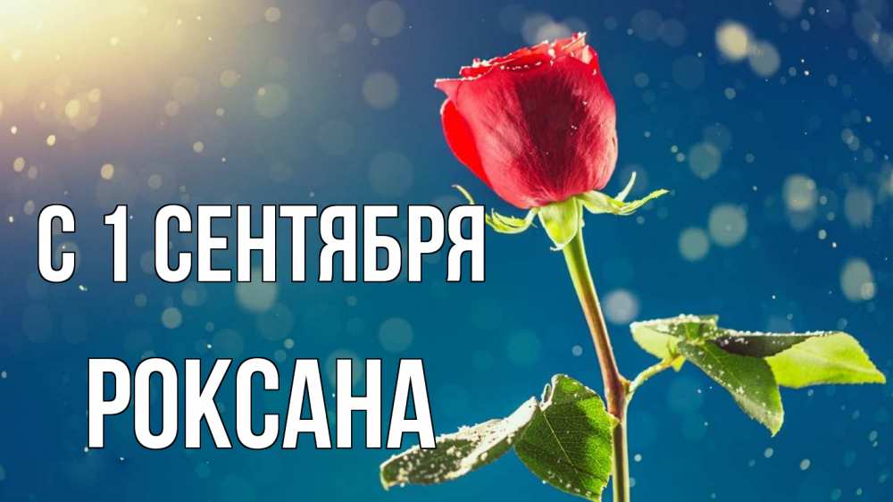 Открытка на каждый день с именем, Роксана С 1 сентября с днем знаний Прикольная открытка с пожеланием онлайн скачать бесплатно 