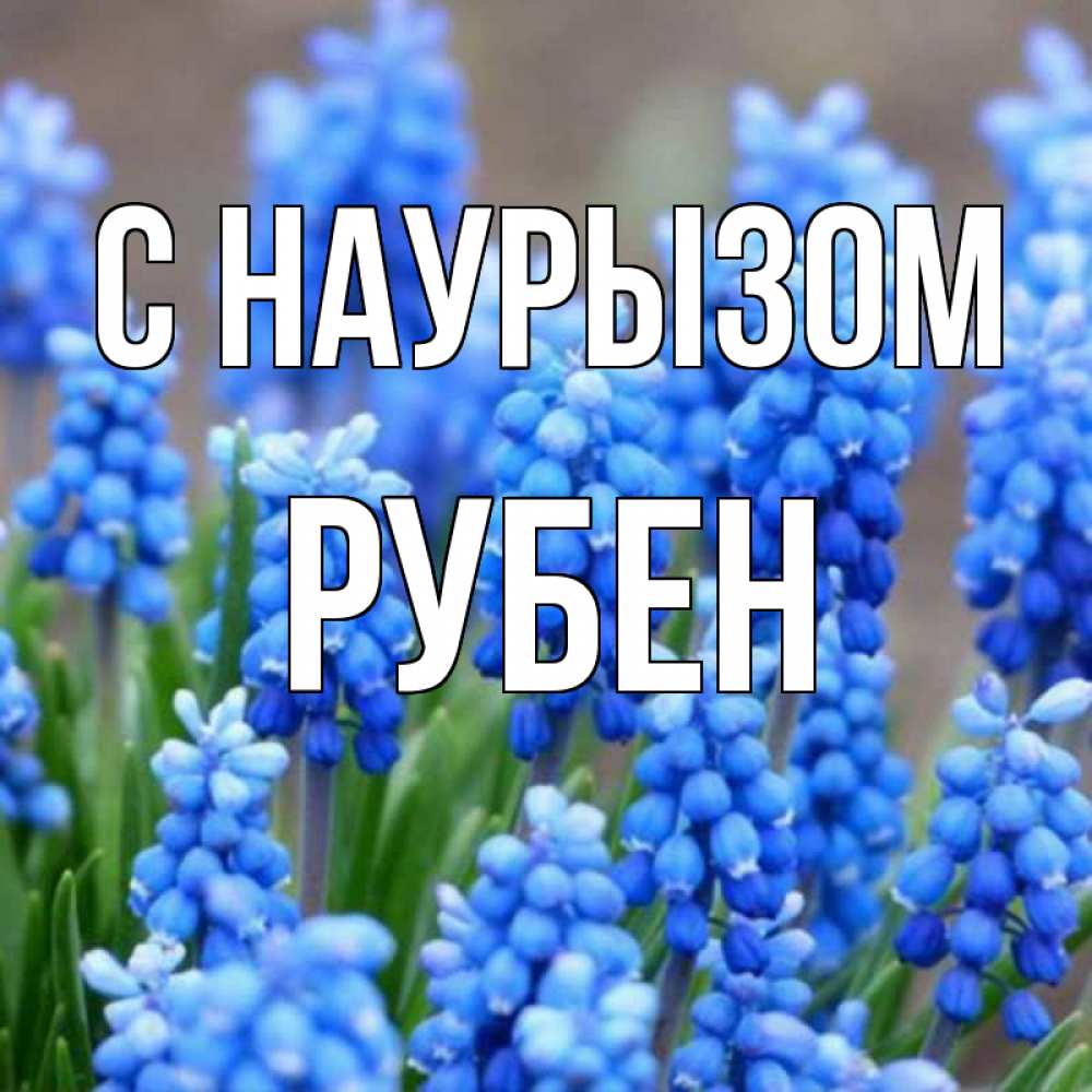 Открытка на каждый день с именем, Рубен С наурызом Поздравительная открытка для женщин с цветами на праздничную дату Прикольная открытка с пожеланием онлайн скачать бесплатно 