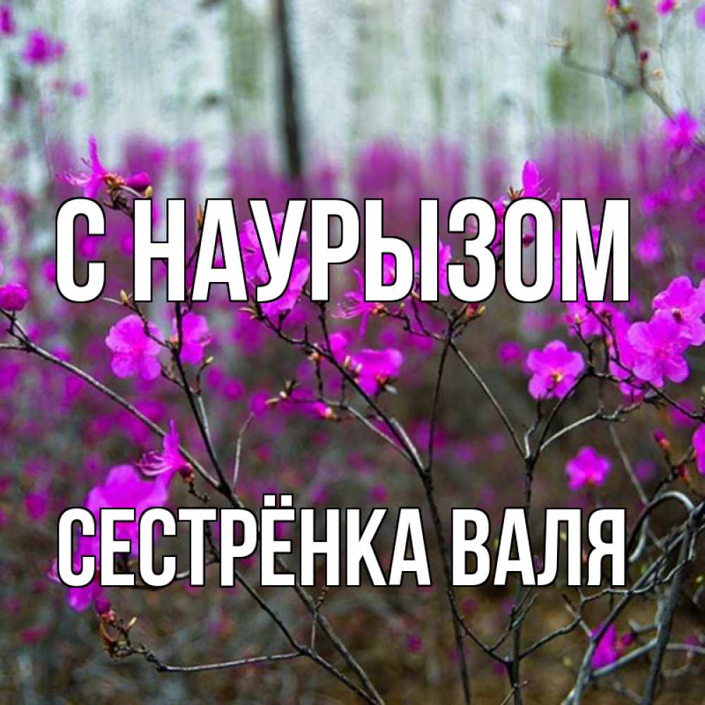 Открытка на каждый день с именем, Сестрёнка-Валя С наурызом дикие цветы Прикольная открытка с пожеланием онлайн скачать бесплатно 