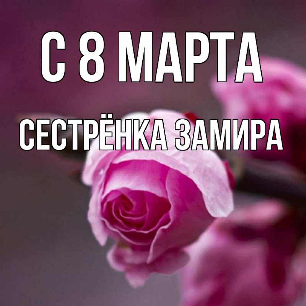 Открытка на каждый день с именем, Сестрёнка-Замира С 8 МАРТА весна Прикольная открытка с пожеланием онлайн скачать бесплатно 