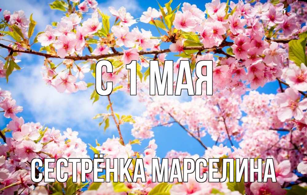 Открытка на каждый день с именем, Сестрёнка-Марселина С 1 мая С 1 мая Прикольная открытка с пожеланием онлайн скачать бесплатно 