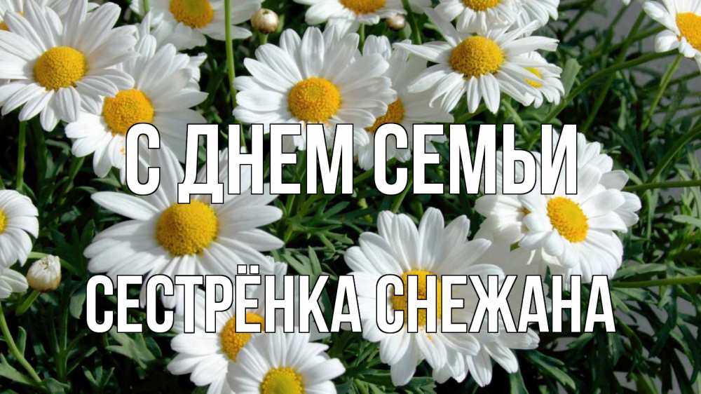 Открытка на каждый день с именем, Сестрёнка-Снежана С днем семьи с днем семьи Прикольная открытка с пожеланием онлайн скачать бесплатно 