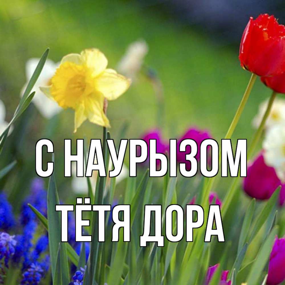 Открытка на каждый день с именем, Тётя-Дора С наурызом праздник весны наурыз 3 Прикольная открытка с пожеланием онлайн скачать бесплатно 
