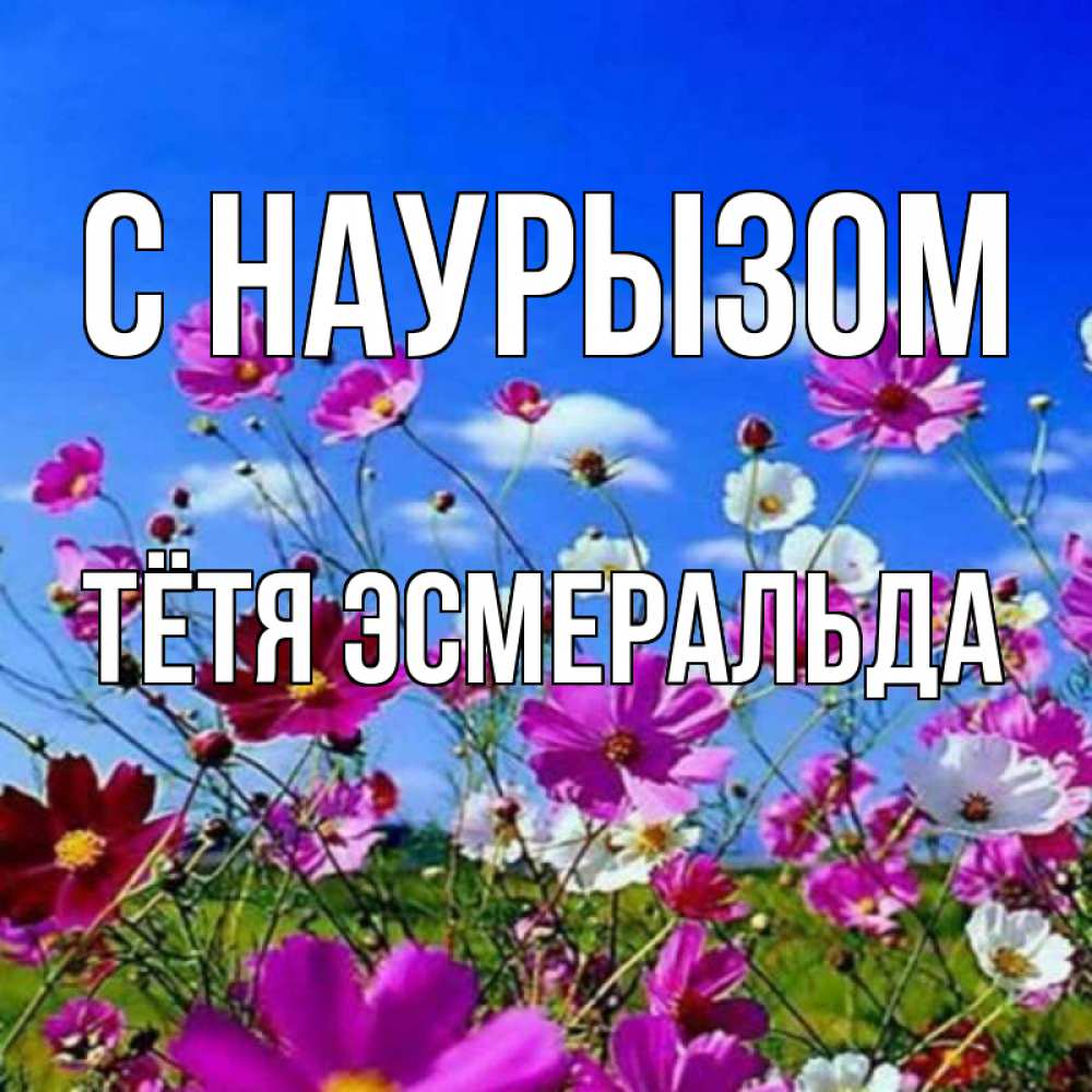 Открытка на каждый день с именем, Тётя-Эсмеральда С наурызом цветы Прикольная открытка с пожеланием онлайн скачать бесплатно 